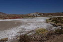 Minerals leaching from nearby hills bring the desert alive with color