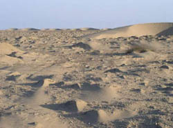 Dunes in Sechuro Desert, on way to Chiclayo, Peru
