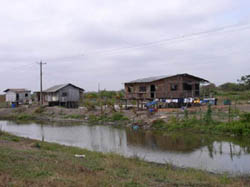 House on stilts on Ecuador's coastal plain