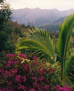 Mountain View, Barrio Mercedes, Costa Rica