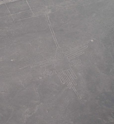 Figure of a hummingbird at Nazca lines