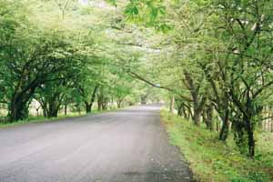 Road to Jaco, Costa Rica